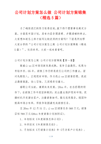 公司计划方案怎么做 公司计划方案锦集（精选5篇）