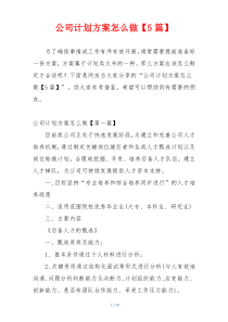 公司计划方案怎么做【5篇】