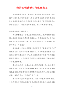 我的军训感受心得体会范文