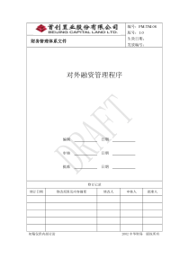 TM-08对外融资管理