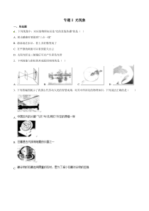 专题02 光现象-2018年中考物理试题分项版解析汇编（第01期）（原卷版）