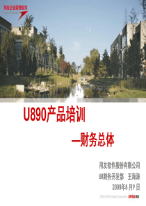 U890财务总体