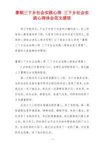 暑期三下乡社会实践心得 三下乡社会实践心得体会范文感悟