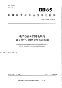 DB65T 4536.5-2022 电子政务外网建设规范 第5部分：网络安全实施指南 