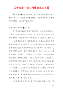 关于巡察干部心得体会范文4篇