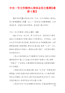 中央一号文件精神心得体会范文集聚【最新4篇】