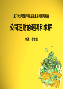 公司理财的谜团和求解（PPT 50页）