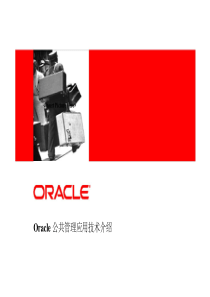 Oracle公共部门解决方案