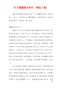 关于援疆感言美句（精选4篇）