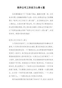 软件公司工作实习心得4篇