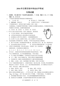 山东省日照市2016年中考生物真题试题（pdf，含答案）