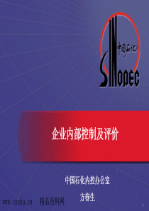 企业内部控制及评价（PPT124页）