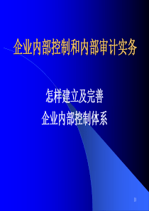 企业内部控制和内部审计实务