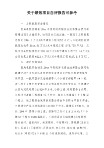 关于绩效项目自评报告可参考