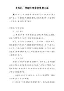 市场推广活动方案案例集聚3篇