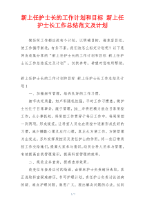 新上任护士长的工作计划和目标 新上任护士长工作总结范文及计划