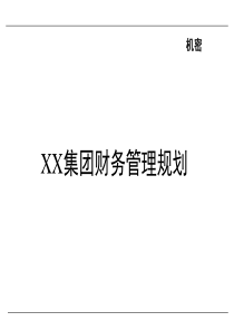 XX集团财务管理规划(ppt 55)