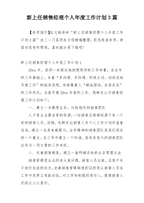 新上任销售经理个人年度工作计划3篇