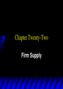 [北大微观经济学课件]Ch22 Firm Supply