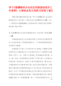 学习《新疆维吾尔自治区民族团结进步工作条例》心得体会范文范例【范例5篇】