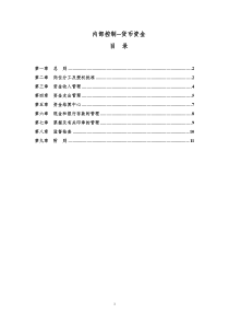 内部控制—货币资金