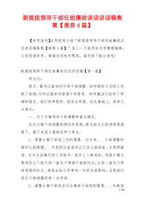 新提拔领导干部任前廉政谈话讲话稿集聚【推荐4篇】