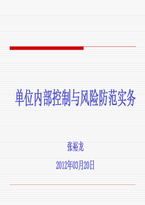 内部控制与风险防范实务