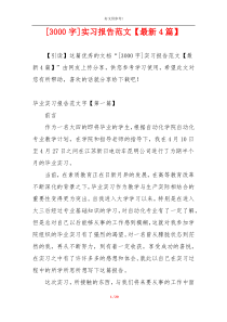 [3000字]实习报告范文【最新4篇】