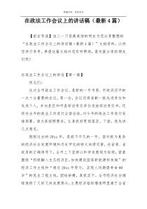 在政法工作会议上的讲话稿（最新4篇）