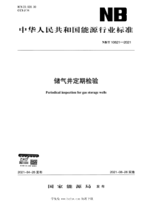 NBT 10621-2021 储气井定期检验 