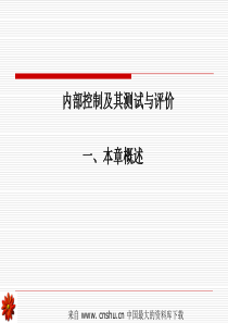 内部控制及其测试与评价--内部控制定义与内部控制目标(ppt 43)