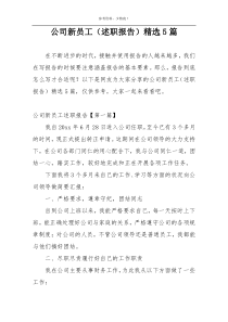 公司新员工（述职报告）精选5篇