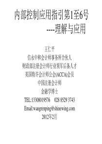 内部控制应用指引1-6号及内控评价--理解及应用