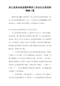 防止返贫动态监测和帮扶工作会议记录范例精编3篇