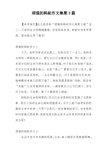 顽强的蚂蚁作文集聚3篇