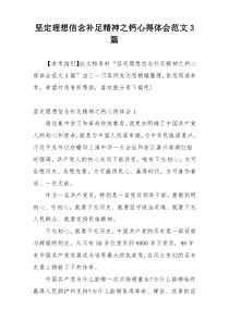 坚定理想信念补足精神之钙心得体会范文3篇