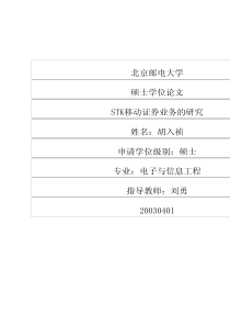 STK移动证券业务的研究