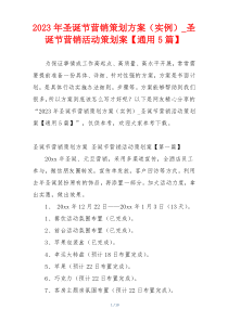 2023年圣诞节营销策划方案（实例）_圣诞节营销活动策划案【通用5篇】