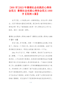 [800字]2023年暑期社会实践的心得体会范文 暑期社会实践心得体会范文1000字【范例4篇】