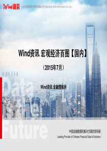 【Wind资讯】宏观经济百图国内篇(XXXX年7月)