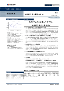 XXXX0210-国信证券-新能源电池：政策加码-Tesla进入中国