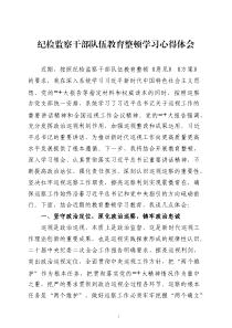 纪检监察干部队伍教育整顿学习心得体会七篇