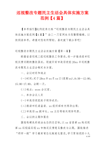 巡视整改专题民主生活会具体实施方案范例【4篇】