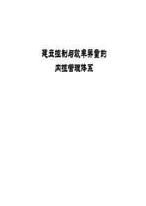 建立控制与效率并重的内控管理体系(1)