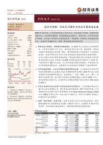 [工业节能] 招商证券-科陆电子-002121-高压变频器、风电变流器和光伏