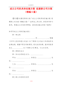 成立公司的具体实施方案 组建新公司方案（精编5篇）