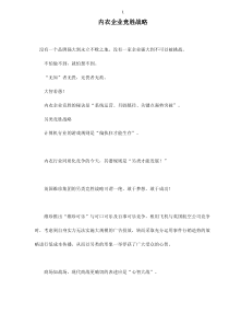 内衣企业竞胜战略doc12(1)