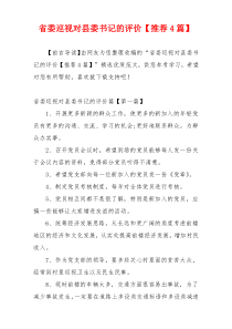 省委巡视对县委书记的评价【推荐4篇】