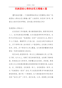 民族团结心得体会范文精编4篇