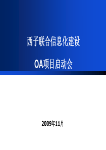 OA实施计划V24